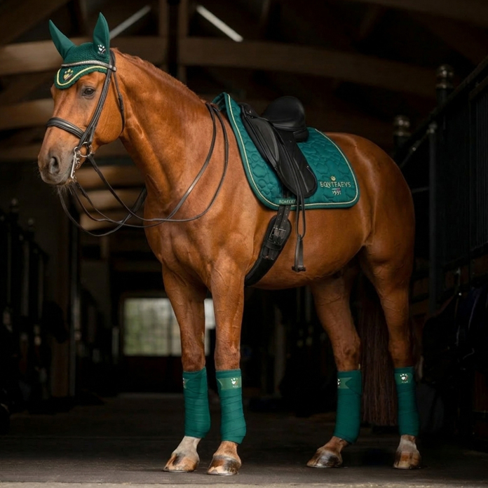 Home Cavallo